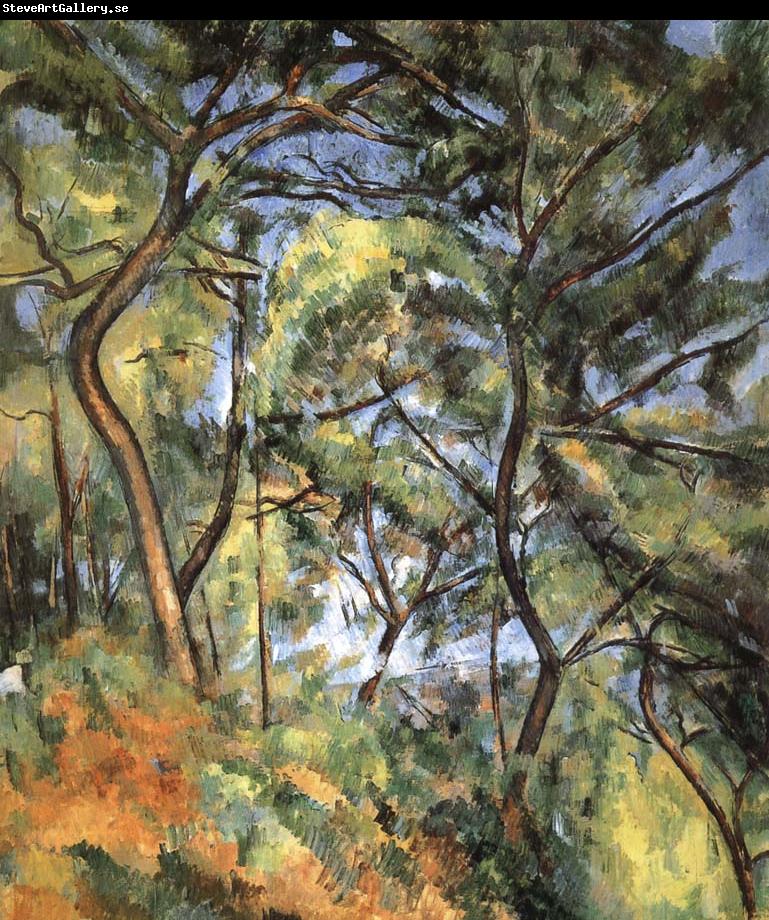 Paul Cezanne forest